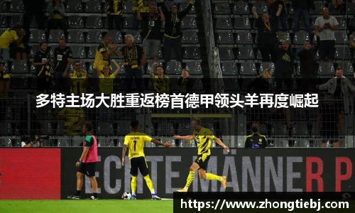 LD乐动官网